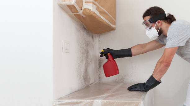 Professional Mold Remediation technician working in Berryville, TX