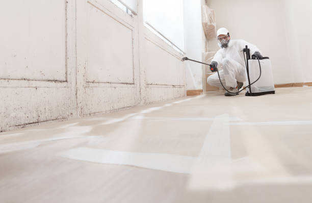 24/7 Emergency Mold Remediation experts in Berryville, TX