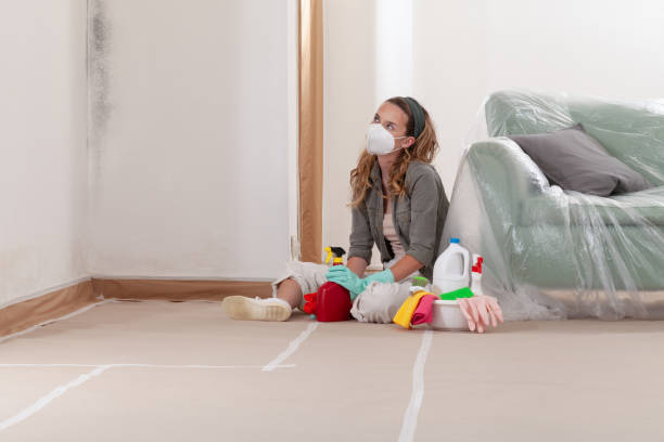Reliable Mold Remediation contractor in Berryville, TX by WQB Mold Removal